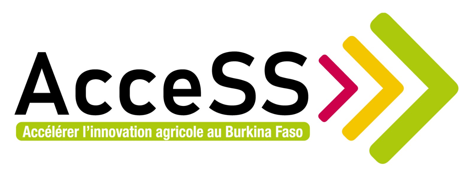 Access logo